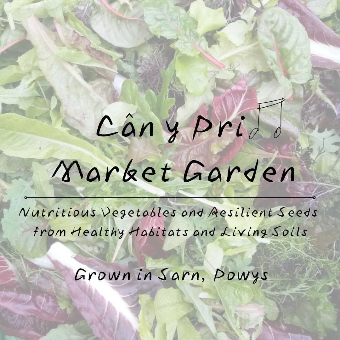 Sarn veg sales