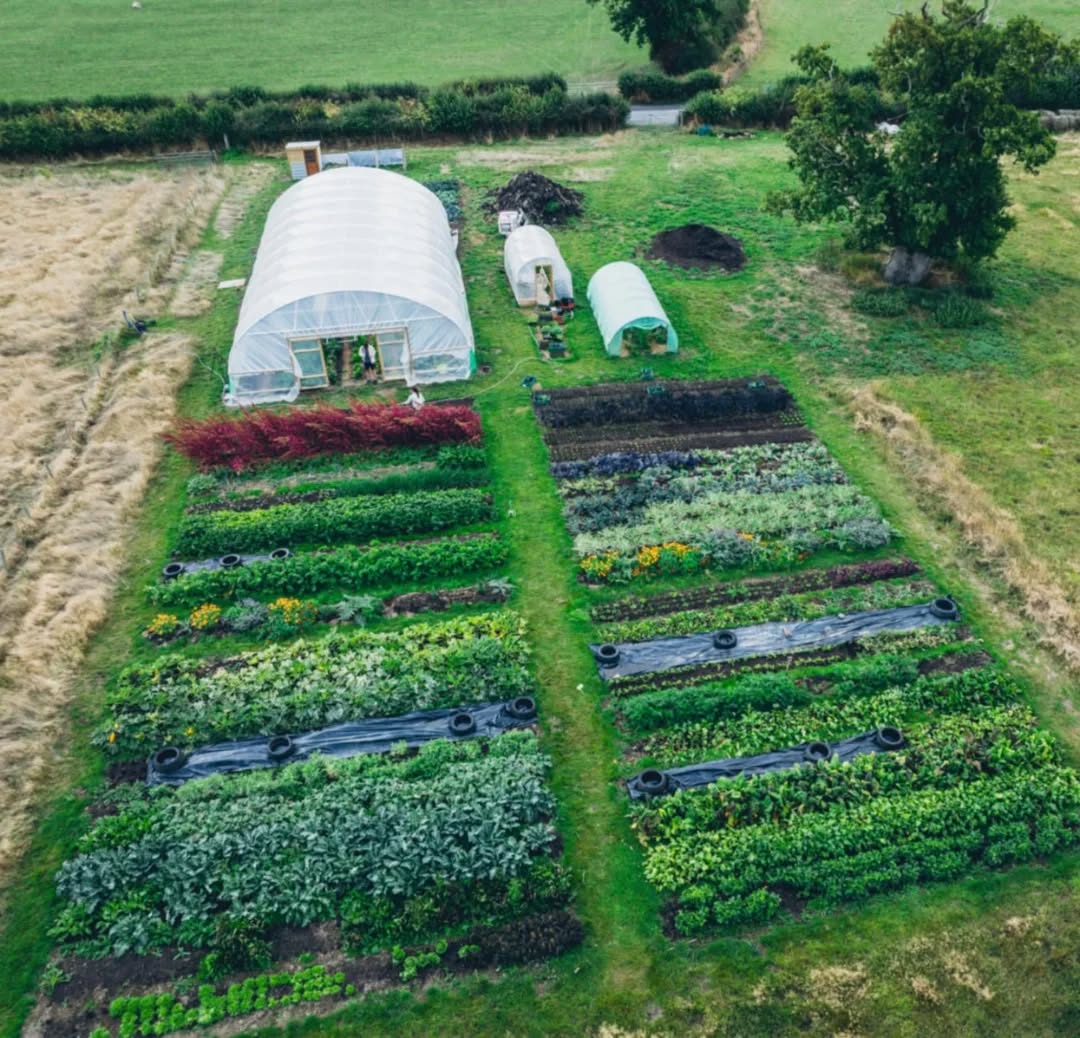 Veg growing